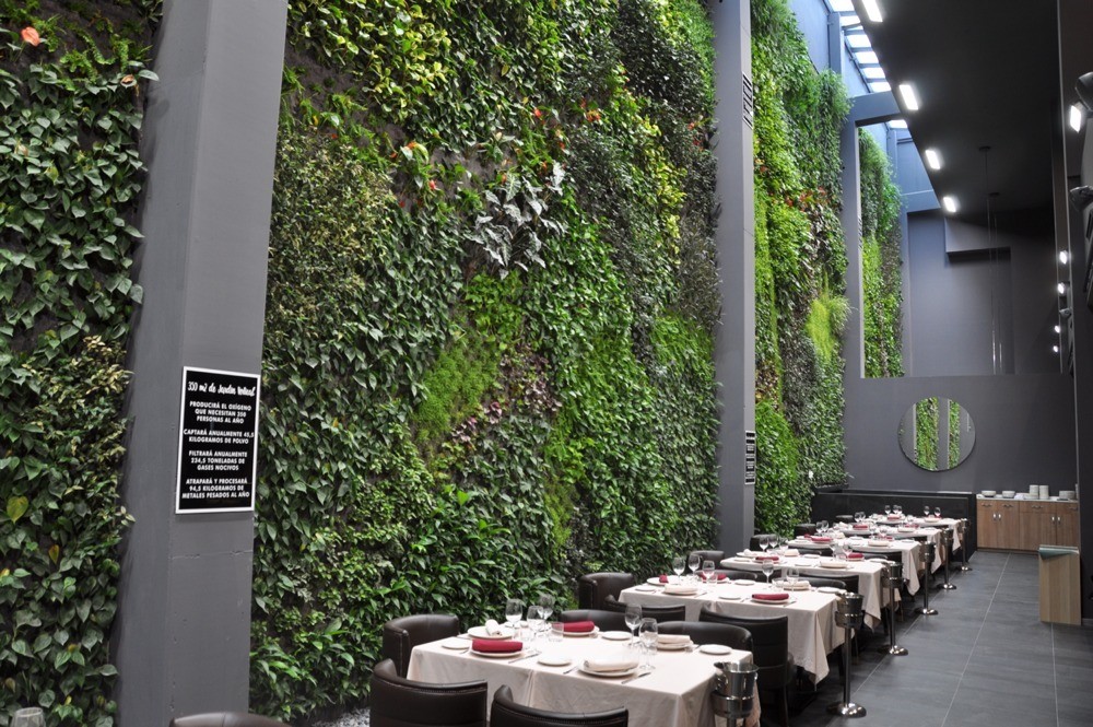 imagen 11 de Bálamo, un restaurante con carta de puerto de mar y el jardín vertical interior más grande de Europa.