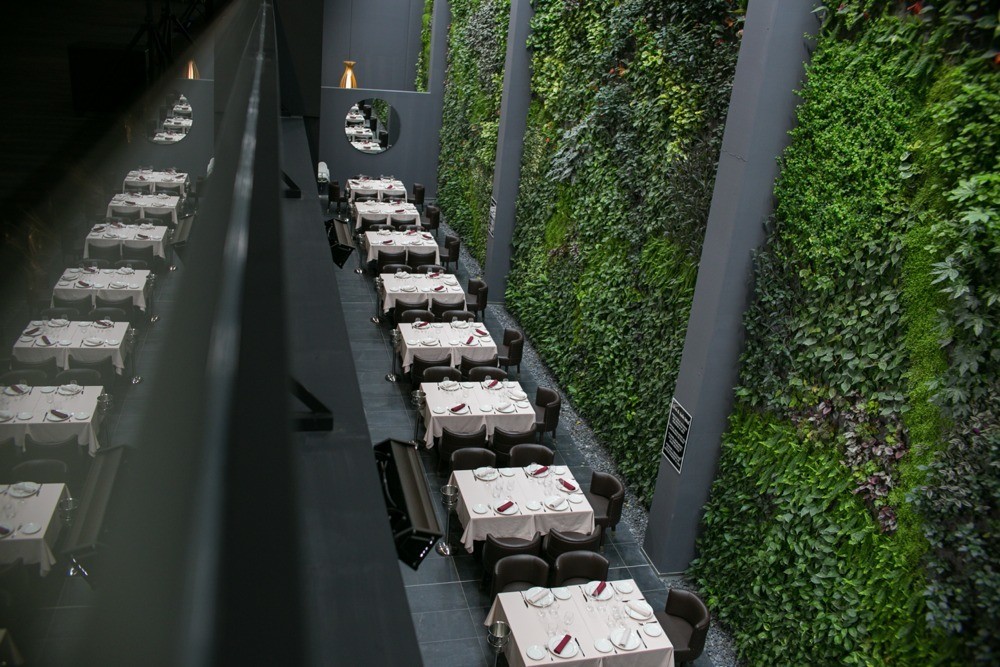 imagen 12 de Bálamo, un restaurante con carta de puerto de mar y el jardín vertical interior más grande de Europa.