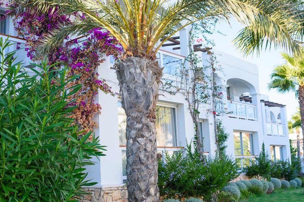 imagen 6 de El mejor “destino” de Ibiza: Destino Pacha Resort.