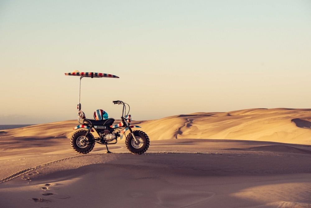 imagen 1 de The Goof Bike, una verdadera moto de playa.