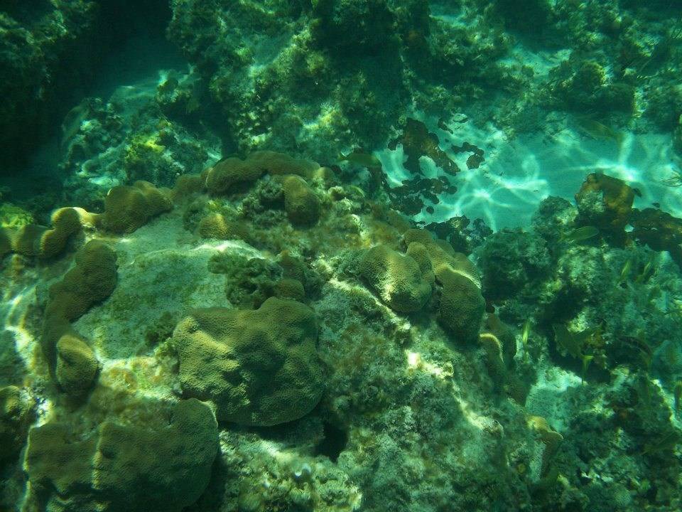 imagen 16 de Saddle Back Cay, una isla privada en las Bahamas que se vende por 10 millones y medio de euros.