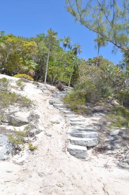 imagen 8 de Saddle Back Cay, una isla privada en las Bahamas que se vende por 10 millones y medio de euros.