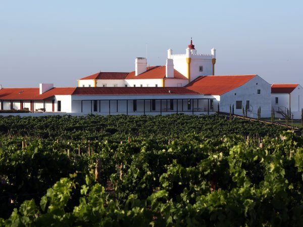 Torre de Palma Wine: Un hotel imprescindible en el Alentejo portugués.
