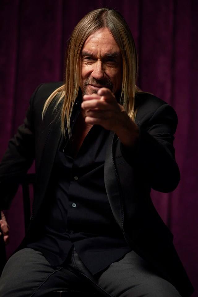 imagen 3 de Iggy Pop, con licencia para matar, single y vídeo de su nuevo álbum.