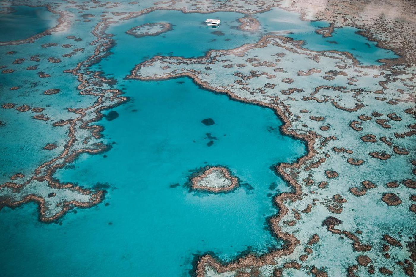 imagen 3 de Visita la barrera de coral australiana como nunca antes…
