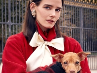 Roger Vivier presenta “ I Woof You”: la historia de un cortejo (perruno).