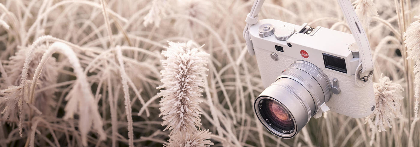 imagen 1 de Blanca Navidad con una cámara Leica en edición limitada (y blanca).