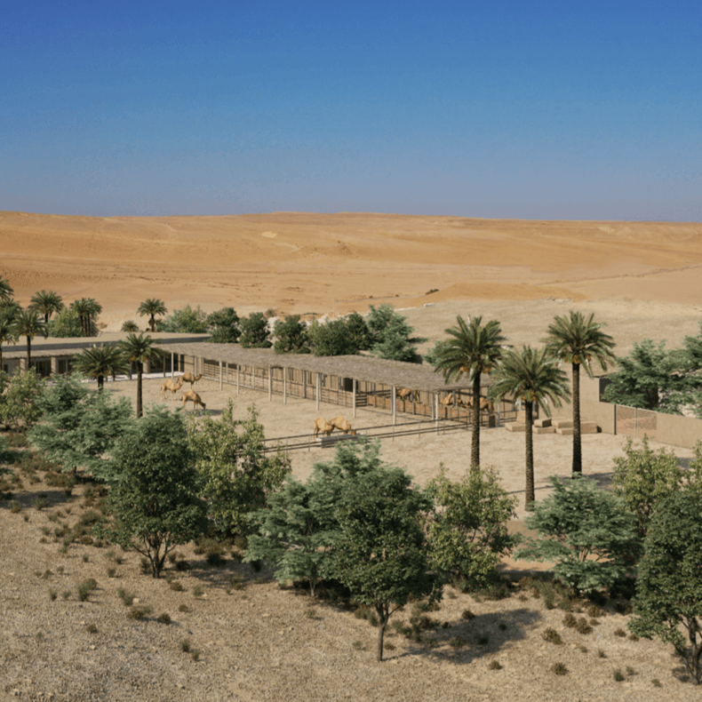 imagen 8 de El Hotel Six Senses Shaharut, en Israel, ya admite reservas.