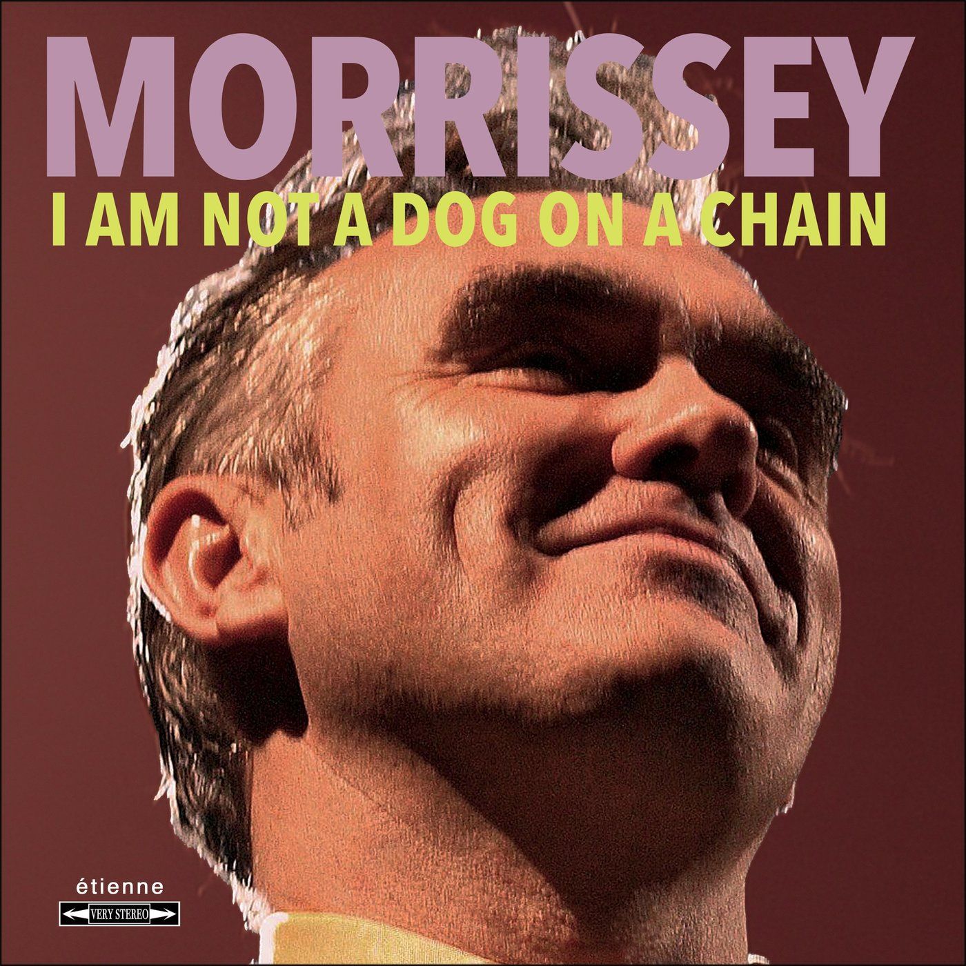 imagen 2 de Con su nuevo disco, el cantante británico Morrisey vuelve a estar en forma.