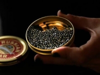 ¿Sabías que el caviar de Riofrío es uno de los mejores del mundo?