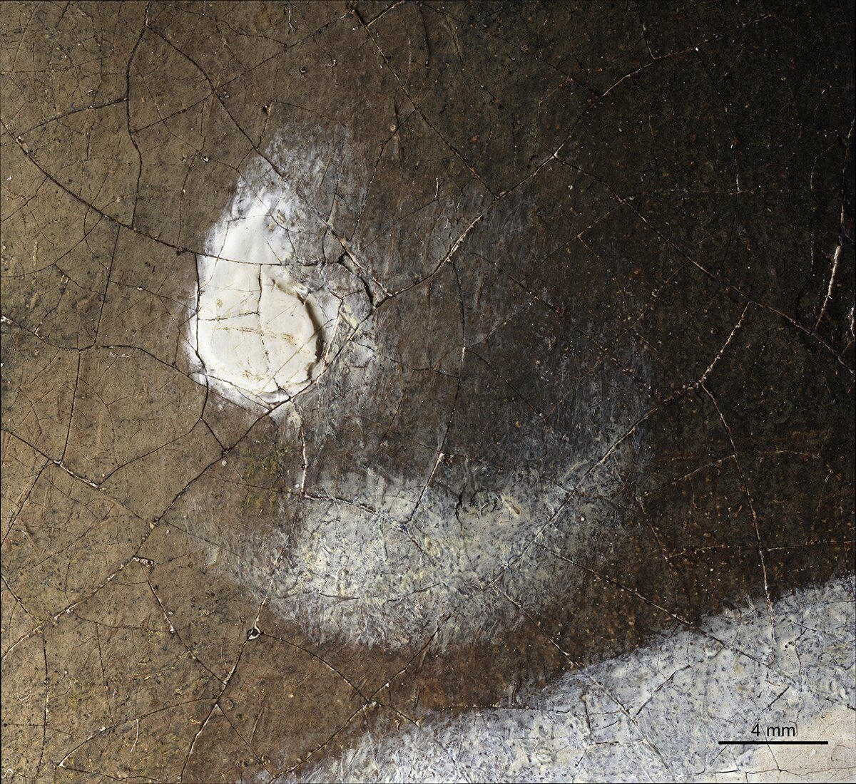 imagen 9 de En el foco del Mauritshuis: todo sobre la joven de la perla.