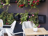 Los restaurantes Lateral celebran la desescalada abriendo sus terrazas.