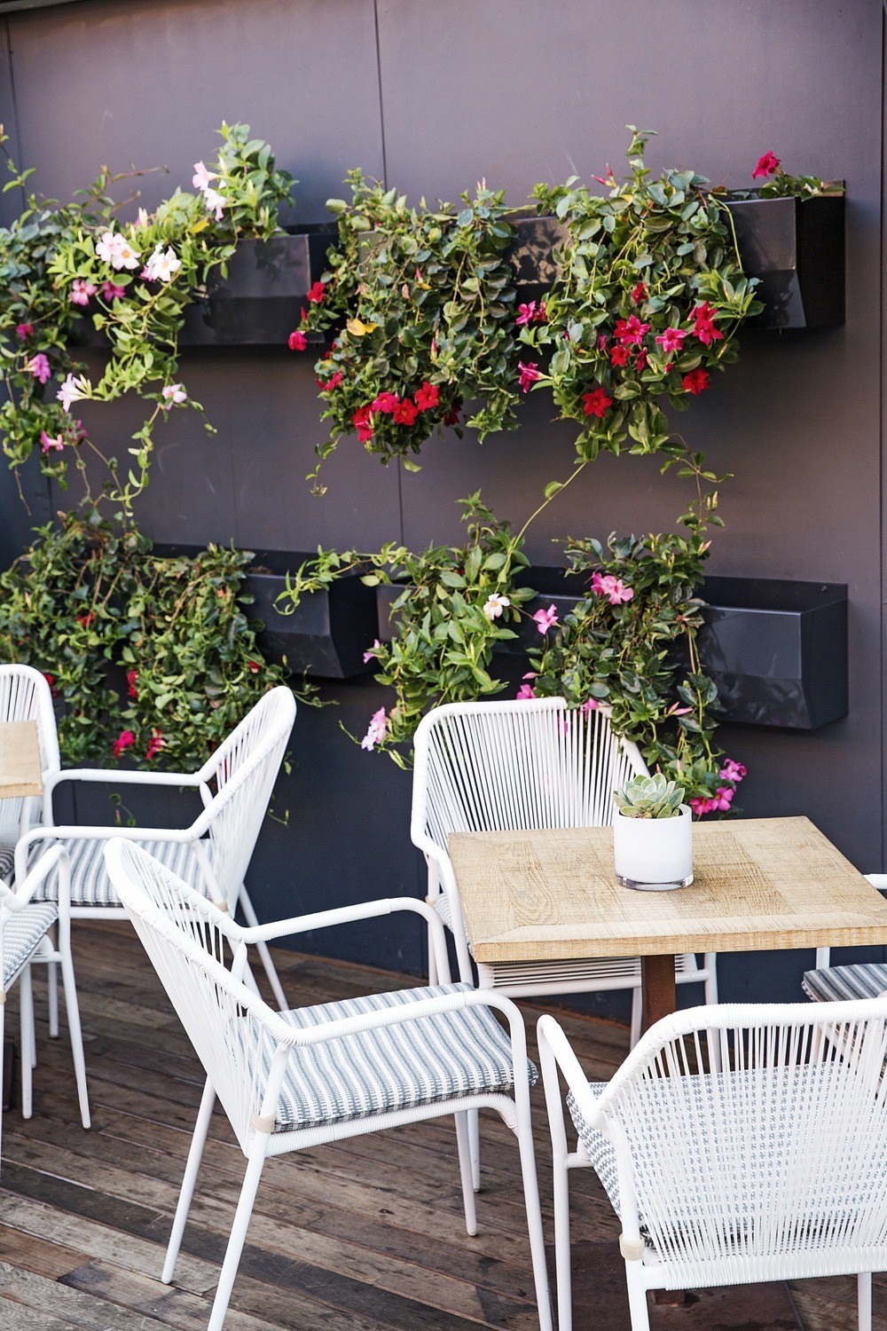imagen 4 de Los restaurantes Lateral celebran la desescalada abriendo sus terrazas.