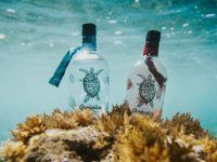 Oceánica Gin ¿a qué sabe un gin tonic en el Atlántico?