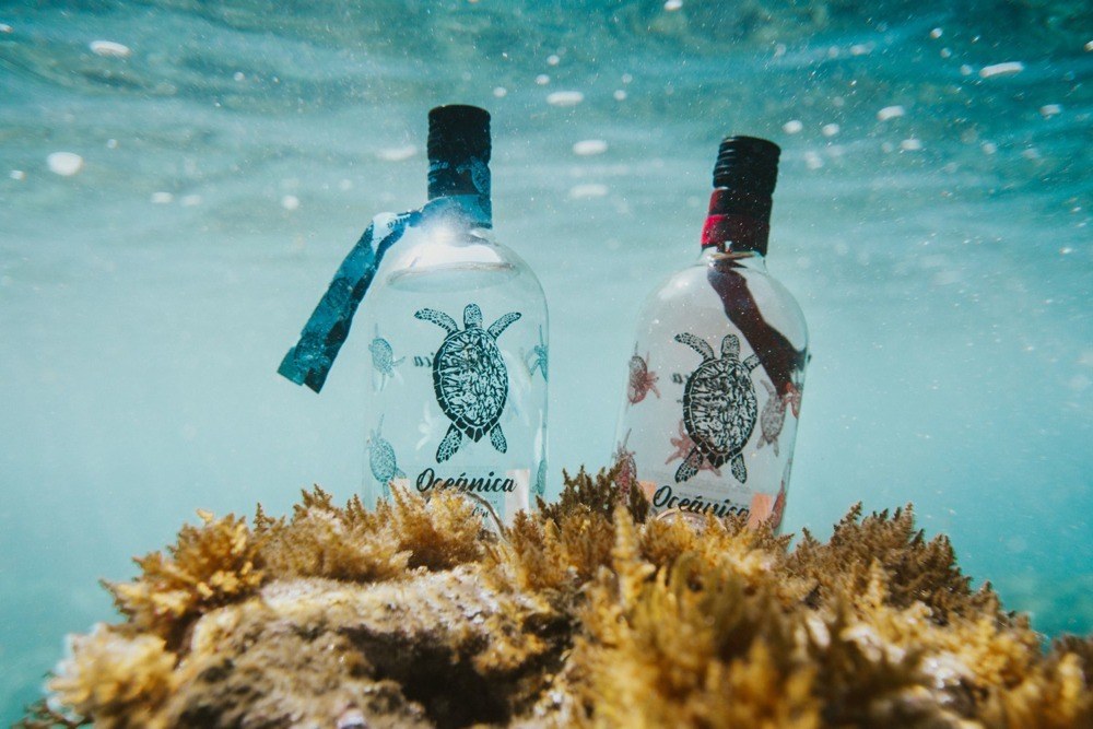 imagen 2 de Oceánica Gin ¿a qué sabe un gin tonic en el Atlántico?