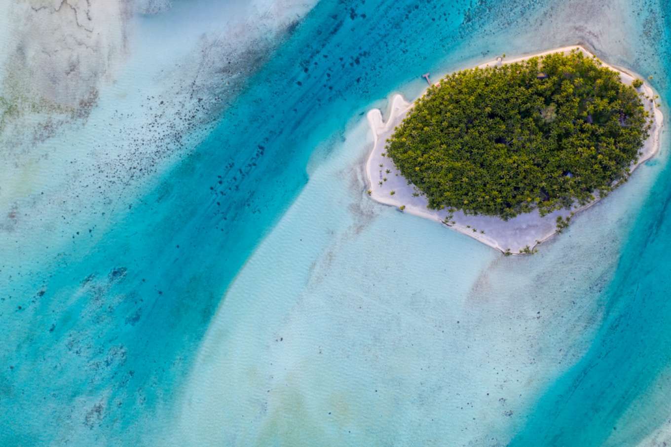 imagen 2 de Se vende Motu Tane, la isla privada de François Nars en la Polinesia Francesa.
