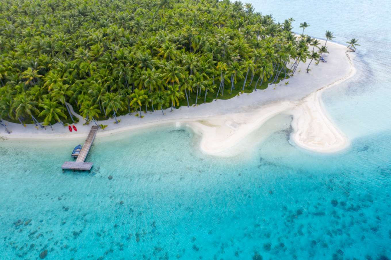 imagen 4 de Se vende Motu Tane, la isla privada de François Nars en la Polinesia Francesa.