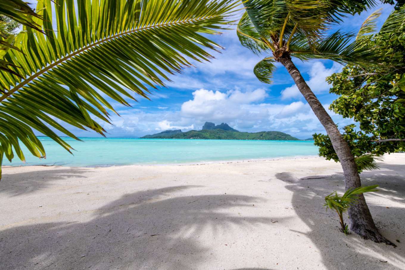 imagen 5 de Se vende Motu Tane, la isla privada de François Nars en la Polinesia Francesa.