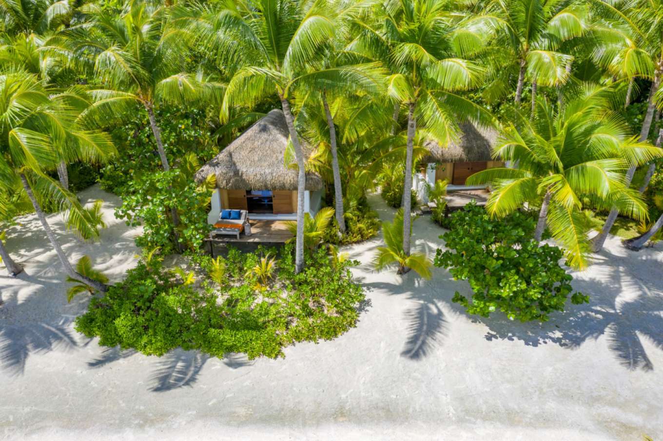 imagen 7 de Se vende Motu Tane, la isla privada de François Nars en la Polinesia Francesa.