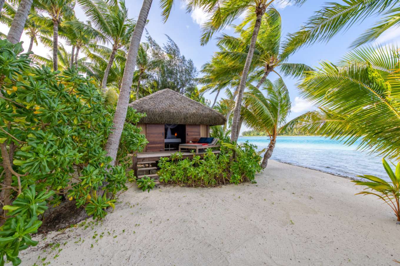imagen 8 de Se vende Motu Tane, la isla privada de François Nars en la Polinesia Francesa.