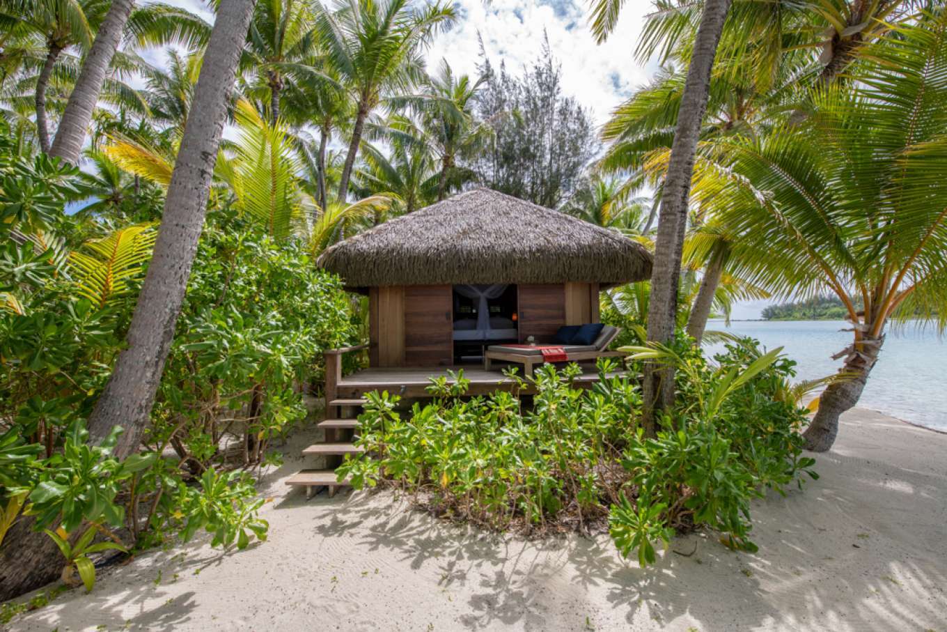 imagen 9 de Se vende Motu Tane, la isla privada de François Nars en la Polinesia Francesa.