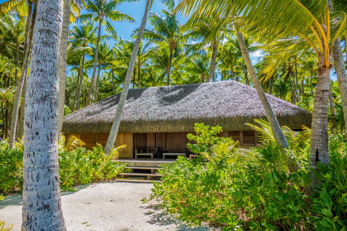 imagen 11 de Se vende Motu Tane, la isla privada de François Nars en la Polinesia Francesa.