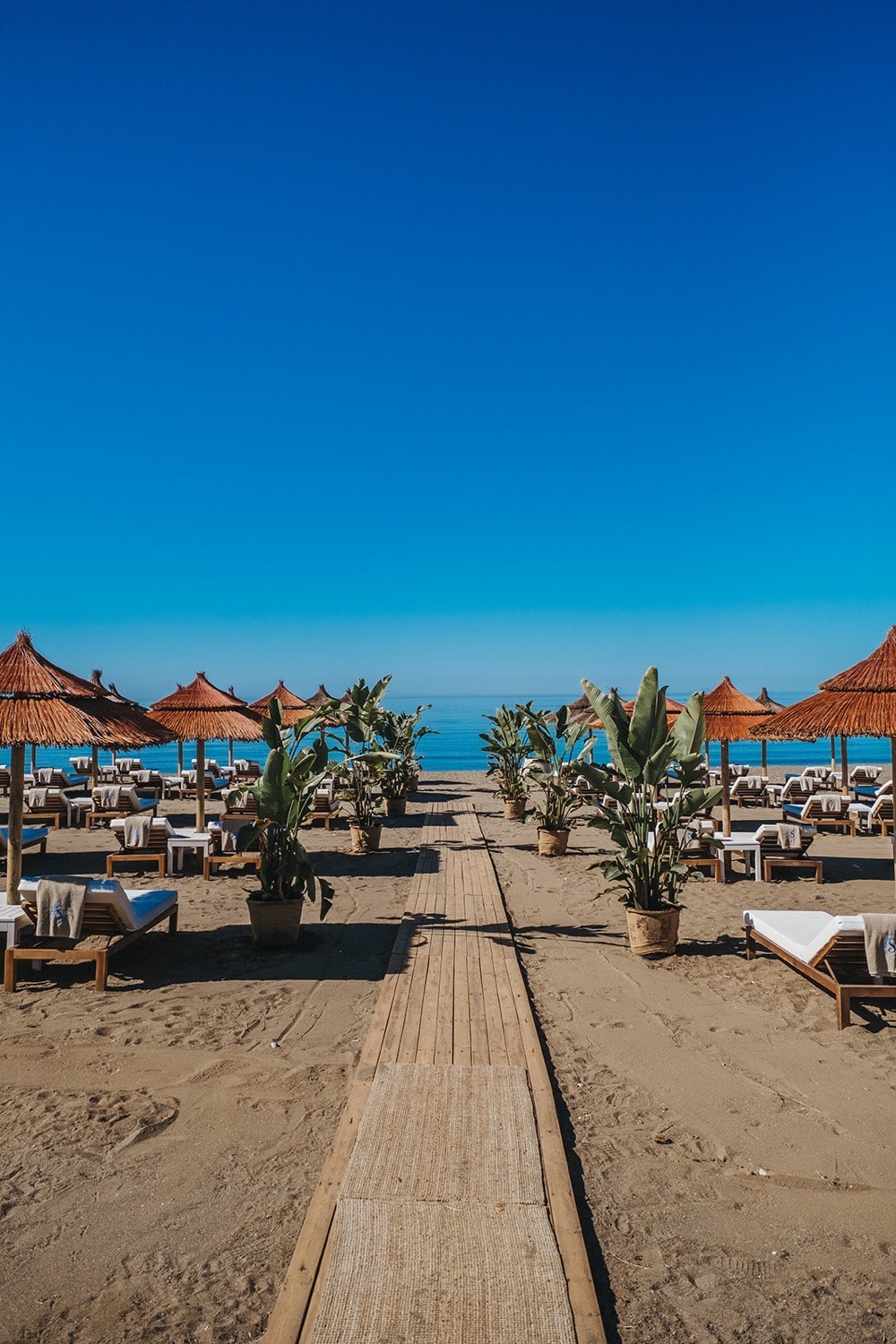 imagen 6 de Salduna Beach, verano azul en Marbella.