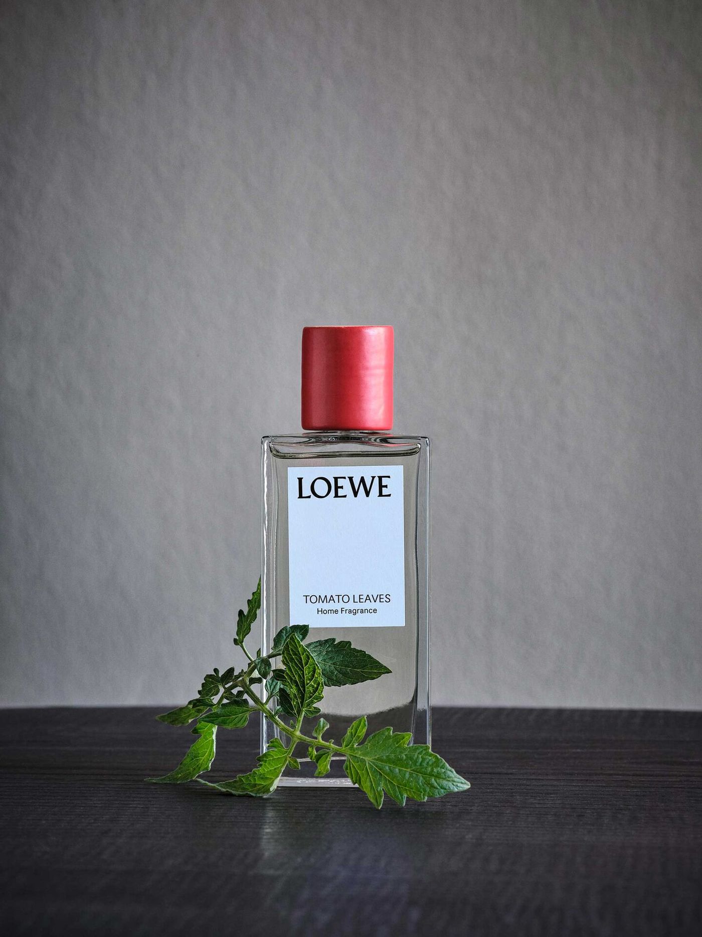 imagen 20 de ¿A qué huele tu casa? pronto querrás que huela a Loewe.