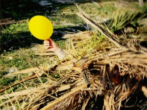 The Sand cautiva en Estados Unidos con personal su `universo melancólico´.