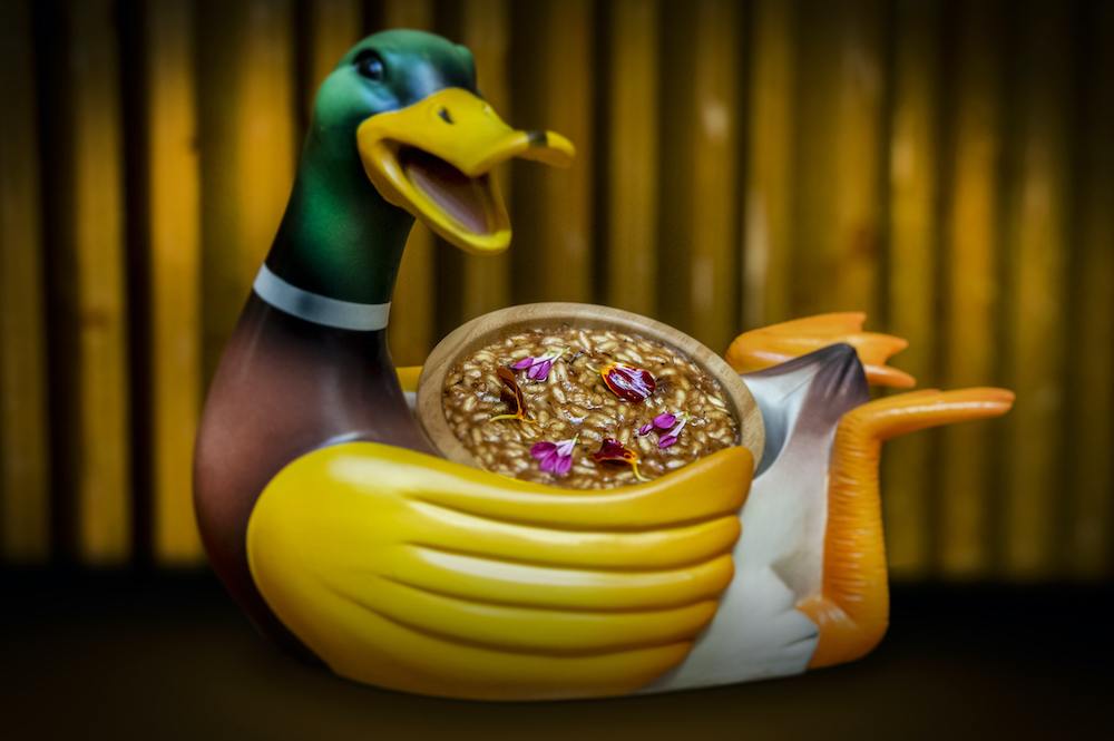 imagen de recetas con pato