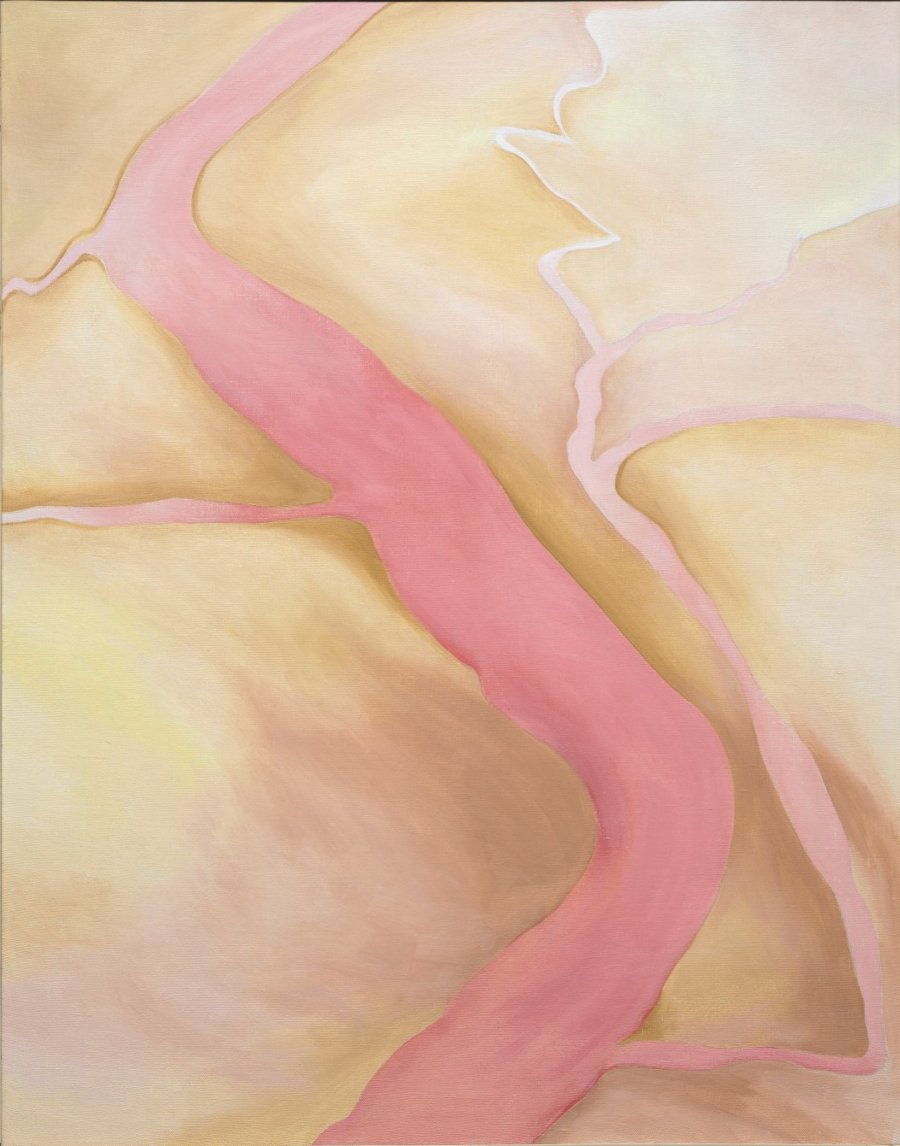 imagen 2 de Georgia O’Keeffe: ‘nadie me enseñó a pintar a mi manera’.