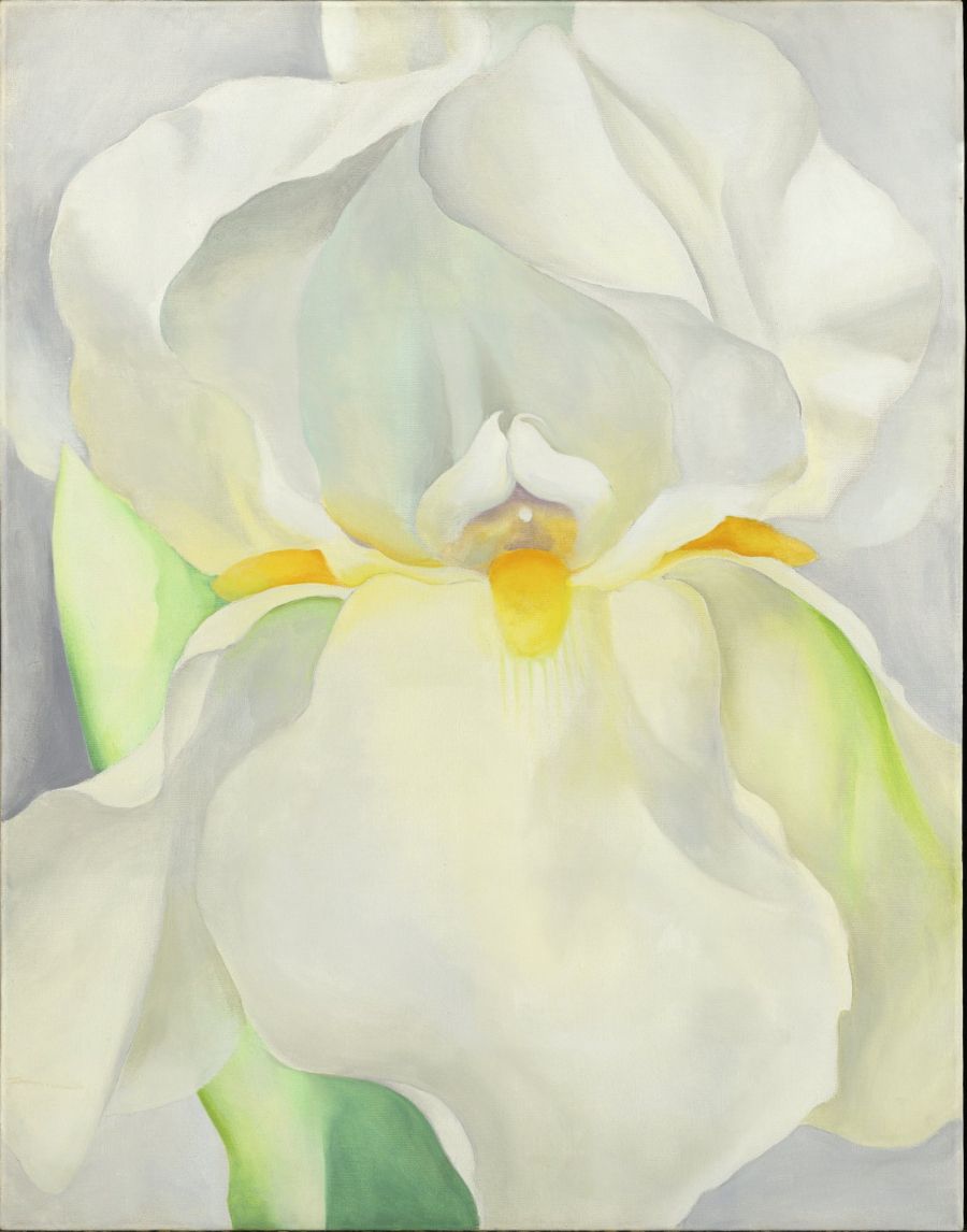 imagen 1 de Georgia O’Keeffe: ‘nadie me enseñó a pintar a mi manera’.