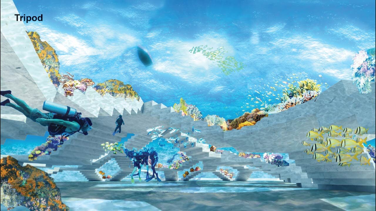 imagen 3 de The Reefline: el arte y la ciencia se citan en Miami.