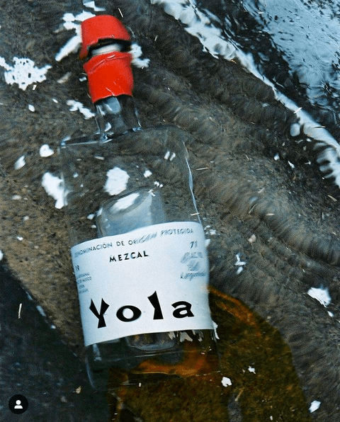 imagen 5 de Yola, el mezcal de San Juan del Río.