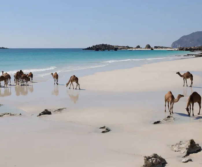 imagen 21 de Alila Hinu Bay, vacaciones de auténtico lujo en Omán.