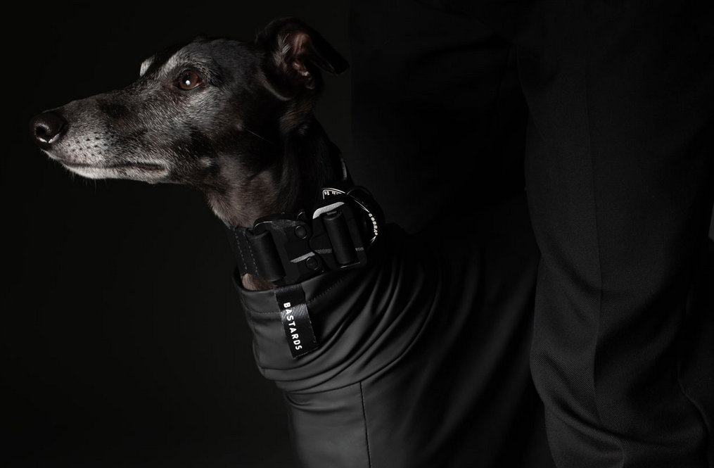 imagen 1 de Bastards Dog Wear, para quienes cuidan a su mascota más allá de lo imaginable.