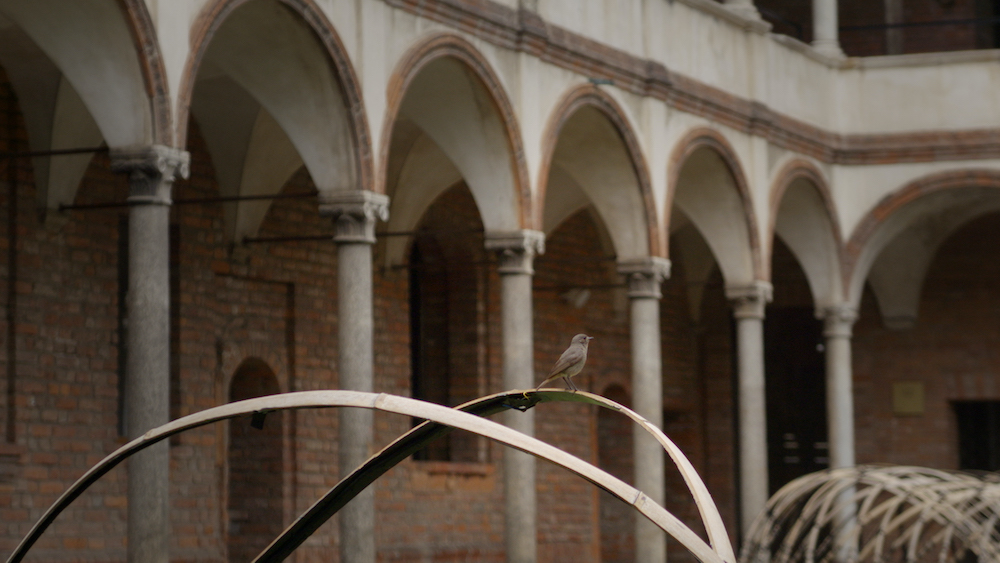 imagen 7 de Bamboo Ring, la instalación más sensorial de la Milan Design Week 2021.