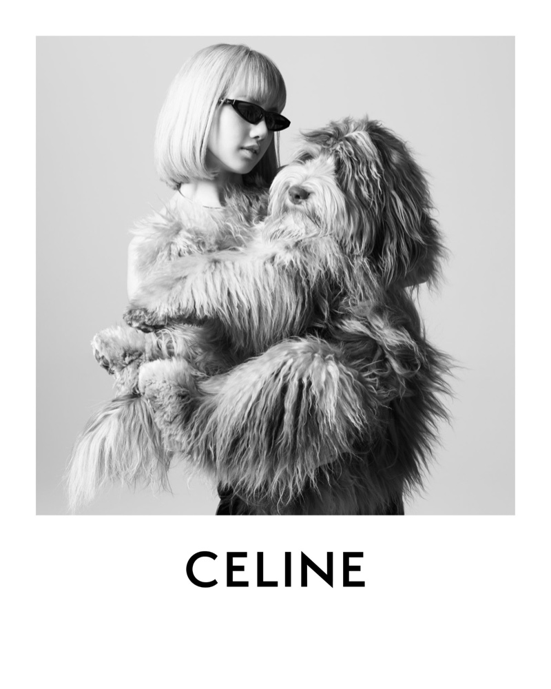 imagen 1 de Elvis, el perro de Hedi Slimane, protagoniza la nueva campaña y línea de complementos de Celine.