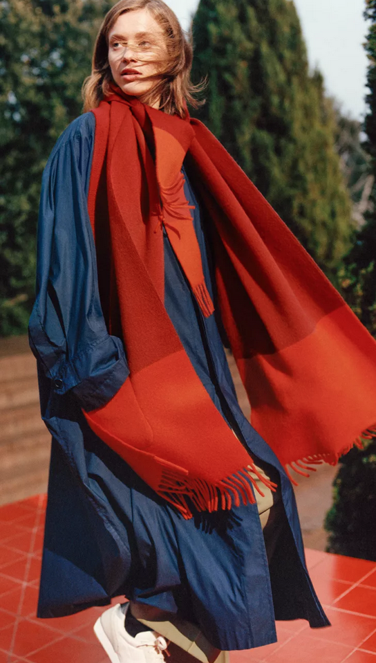 imagen 6 de Al abrigo de la seda de Hermès en su invierno.