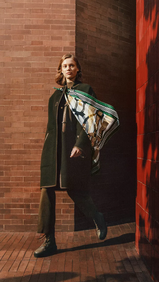 imagen 12 de Al abrigo de la seda de Hermès en su invierno.