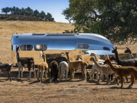 Bowlus Volterra Electric Camper, una caravana para irte de glamping.