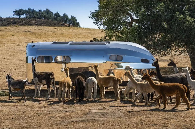 imagen 1 de Bowlus Volterra Electric Camper, una caravana para irte de glamping.