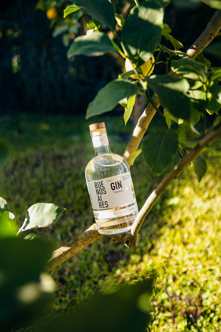 imagen 1 de Buenos Aires Gin, esta nueva ginebra London Dry nace en la Patagonia Argentina.