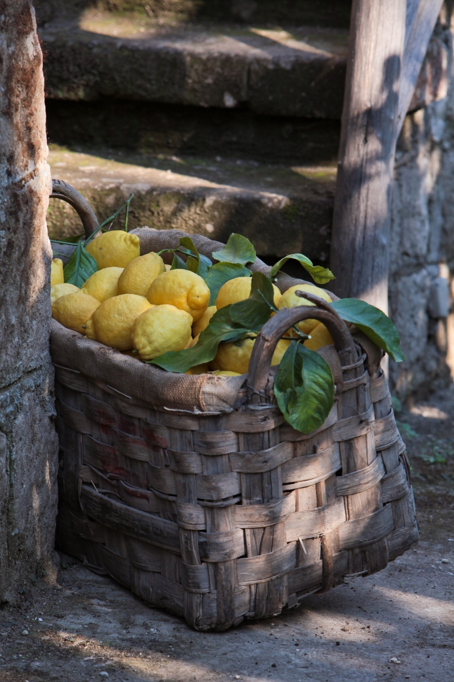 imagen 4 de Le Grottelle es una fiesta. La del limón de Sorrento y el limoncello Villa Massa.