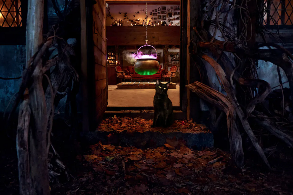 imagen 2 de The Hocus Pocus Cottage: Airbnb nos invita a alojarnos en la casa de las brujas de Salem.