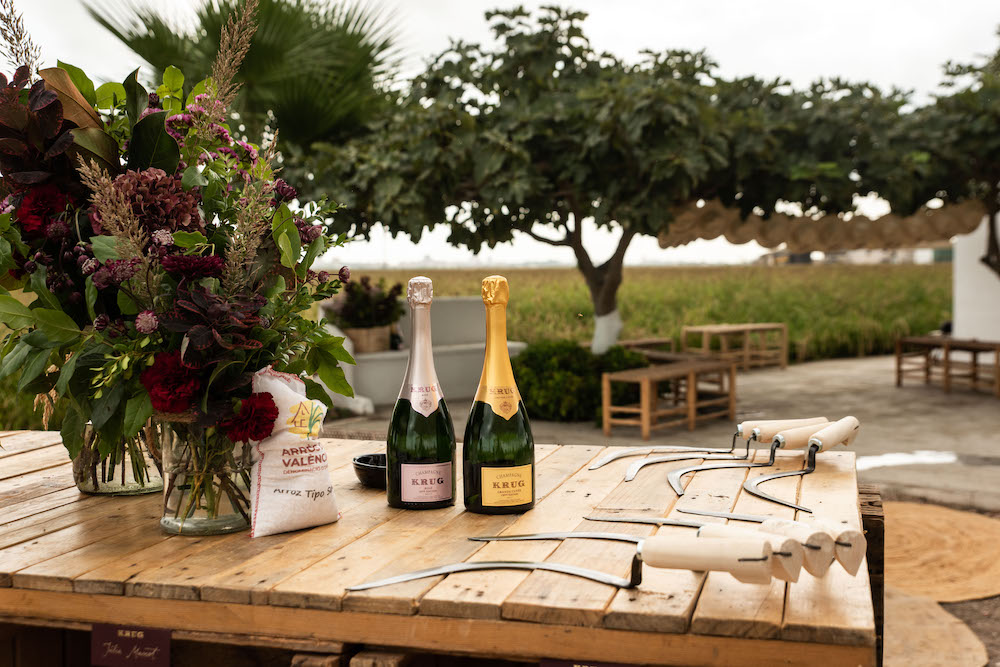 imagen 1 de Arroz y champán Krug, el perfecto maridaje mediterráneo.