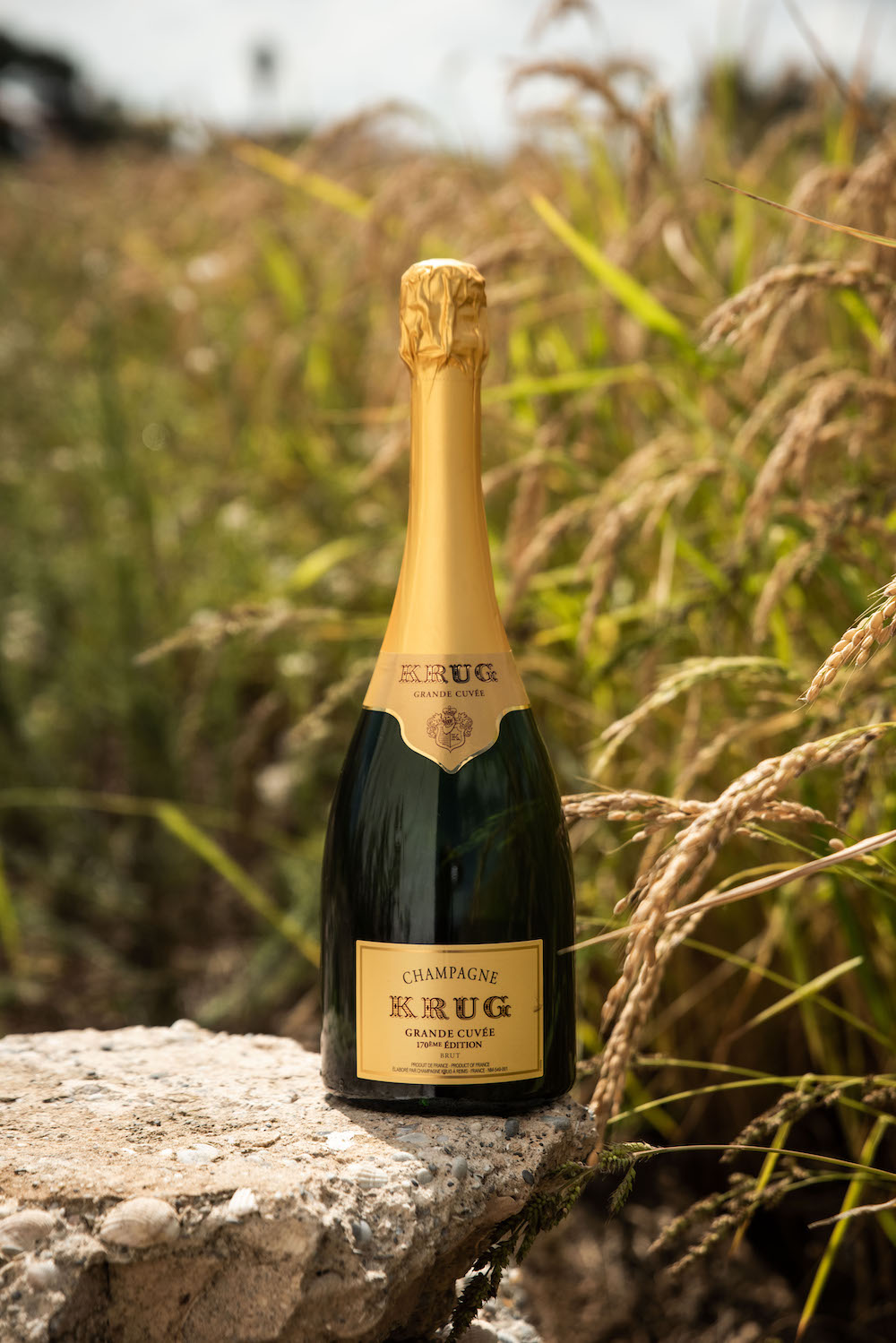 imagen 3 de Arroz y champán Krug, el perfecto maridaje mediterráneo.