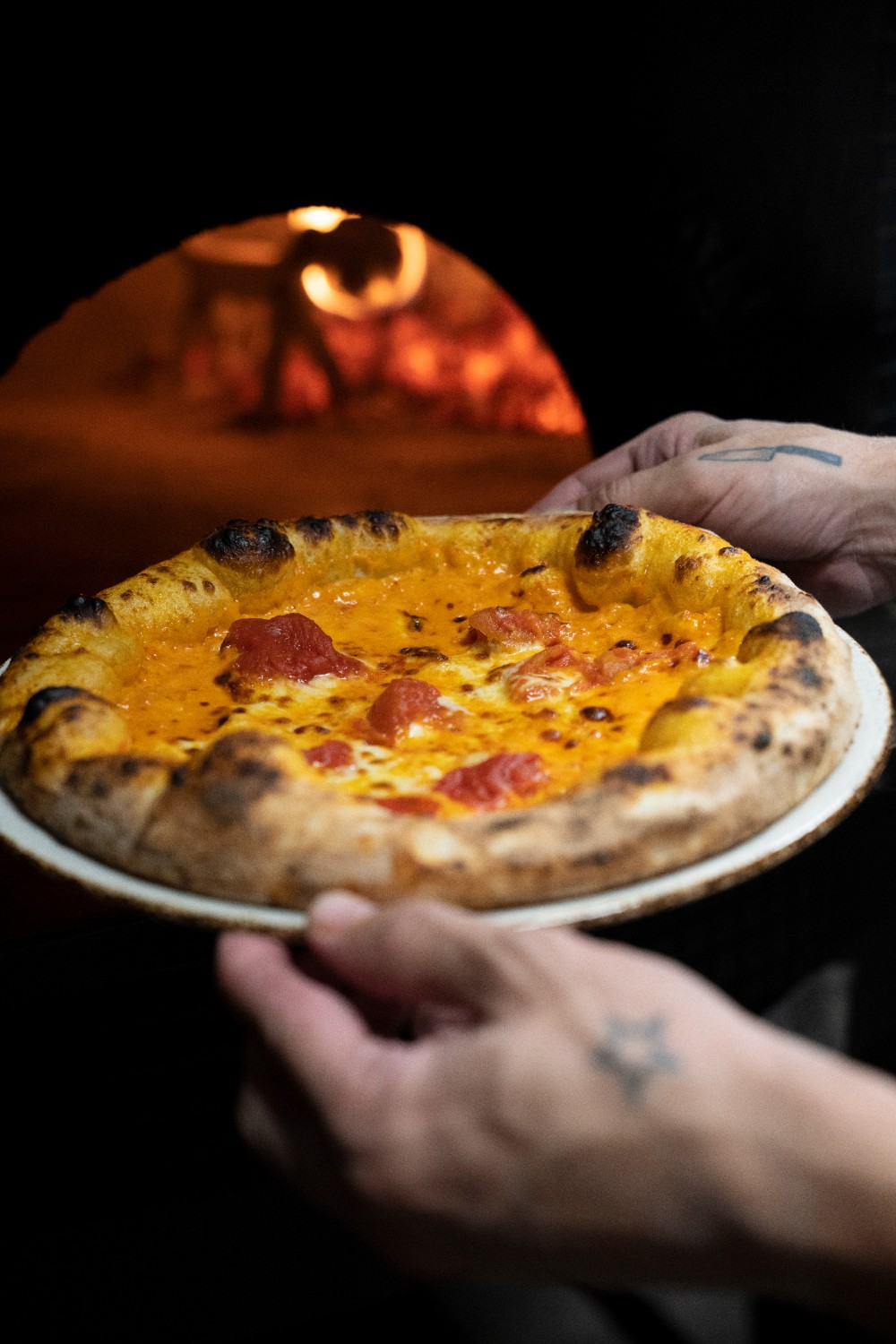 imagen 7 de La cadena de restaurantes Ditaly llega a Valladolid.