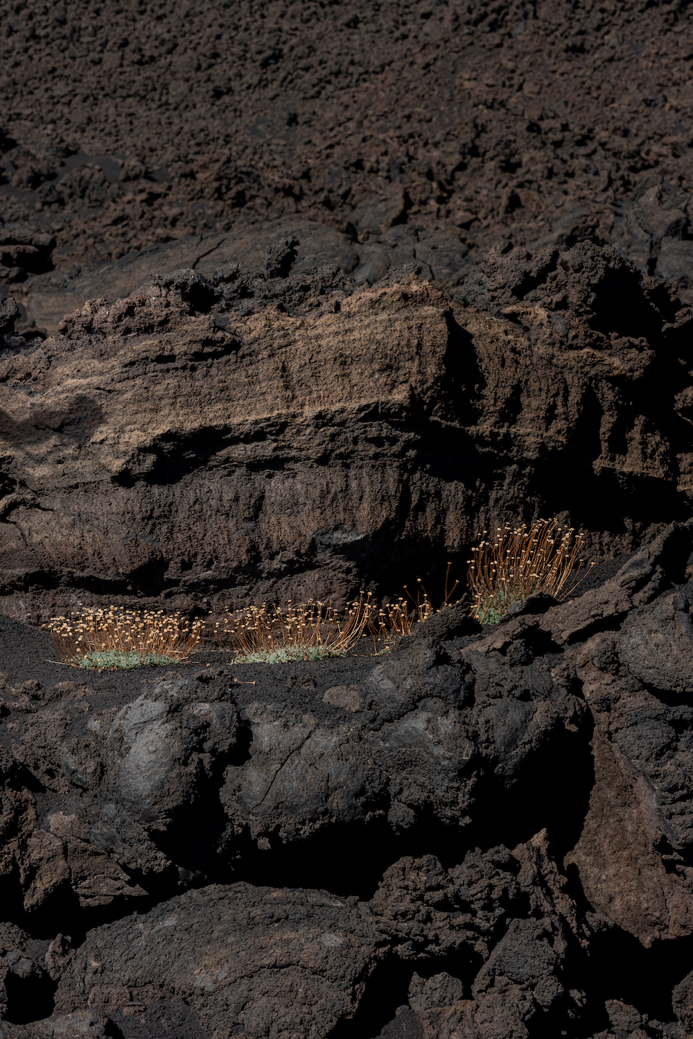 imagen 24 de Carhartt presenta su colección más viajera y senderista en las faldas del monte Etna.