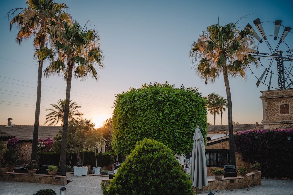 imagen 5 de Lassala es uno de los mejores restaurantes de Mallorca.